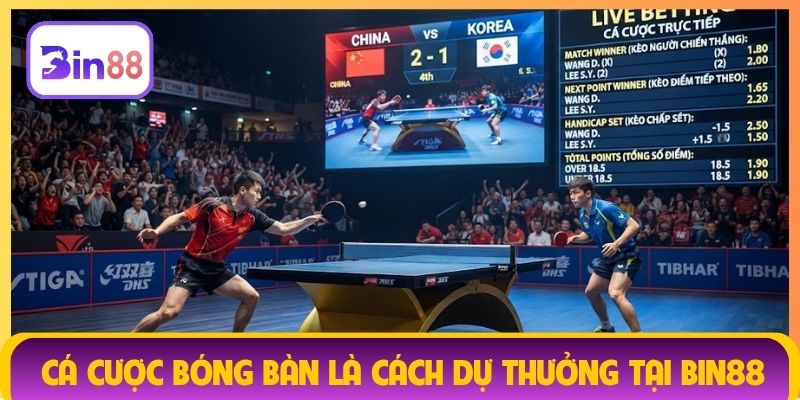 Cá cược bóng bàn là cách dự thưởng tại Bin88