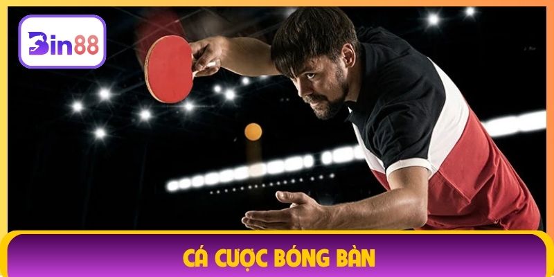 Cá cược bóng bàn