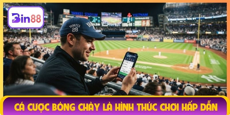 Cá cược bóng chày là hình thức chơi hấp dẫn