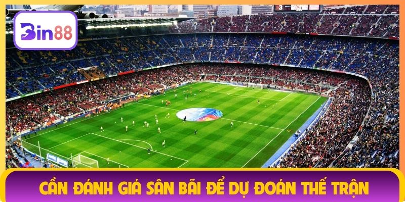 Cần đánh giá sân bãi để dự đoán thế trận