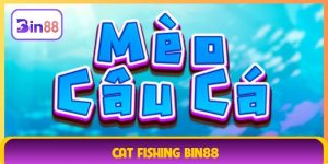 Cat Fishing Bin88