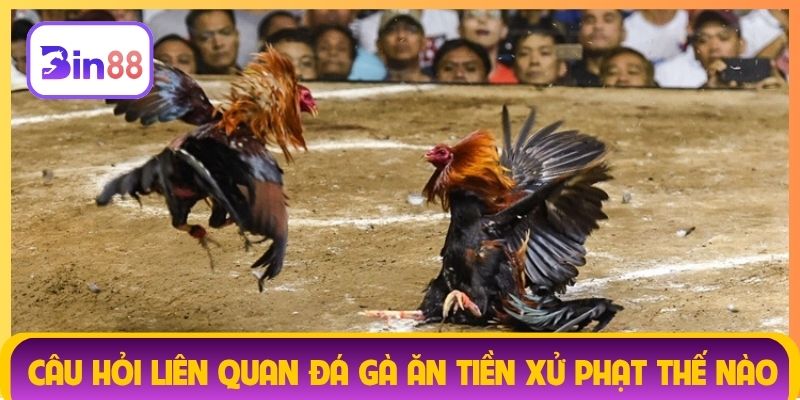 Câu hỏi liên quan đá gà ăn tiền xử phạt thế nào