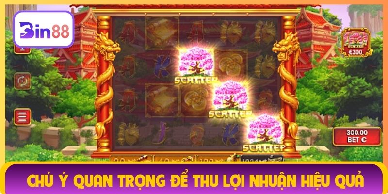Chú ý quan trọng để thu lợi nhuận hiệu quả