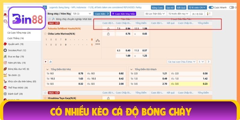 Có nhiều kèo cá độ bóng chày