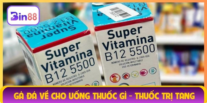 Gà đá về cho uống thuốc gì - thuốc trị tang