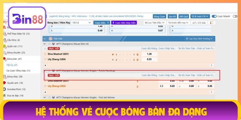 Hệ thống vé cược bóng bàn đa dạng