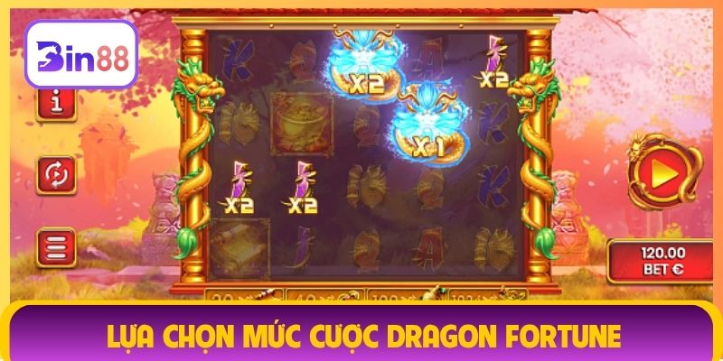Lựa chọn mức cược Dragon Fortune Bin88