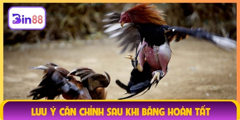 Lưu ý căn chỉnh sau khi băng hoàn tất