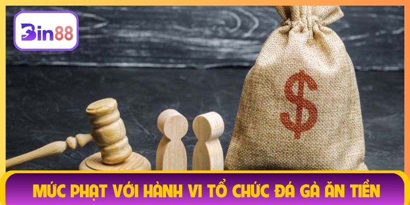 Mức phạt với hành vi tổ chức đá gà ăn tiền