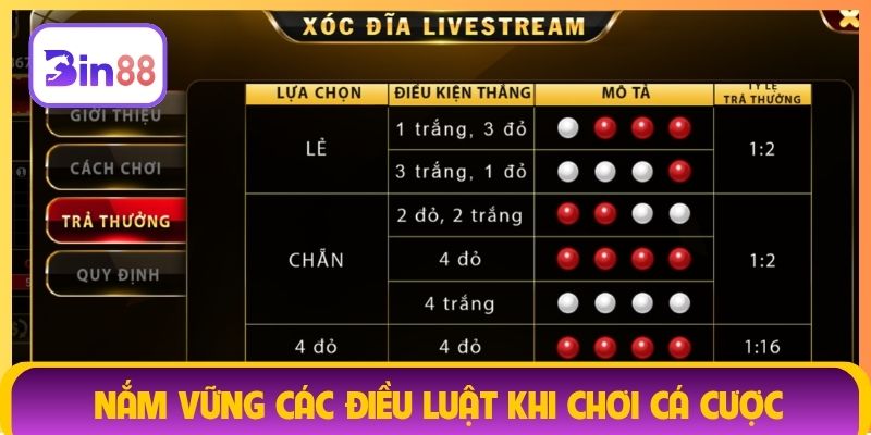 Nắm vững các điều luật khi chơi cá cược
