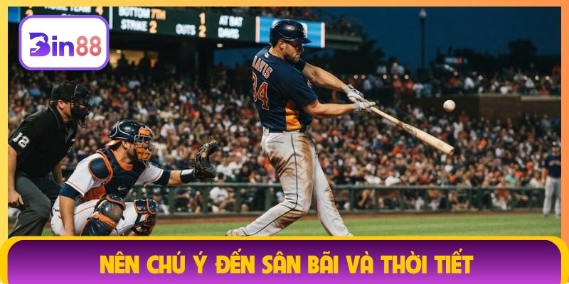 Nên chú ý đến sân bãi và thời tiết