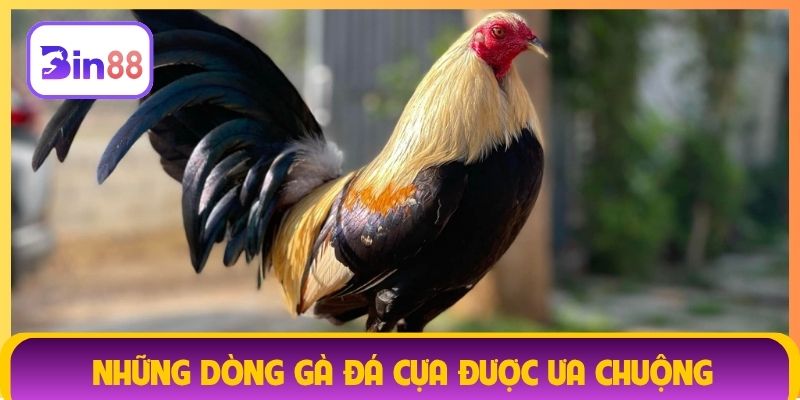 Những dòng gà đá cựa được ưa chuộng